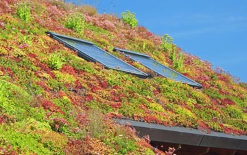 Warbstow living roof systems